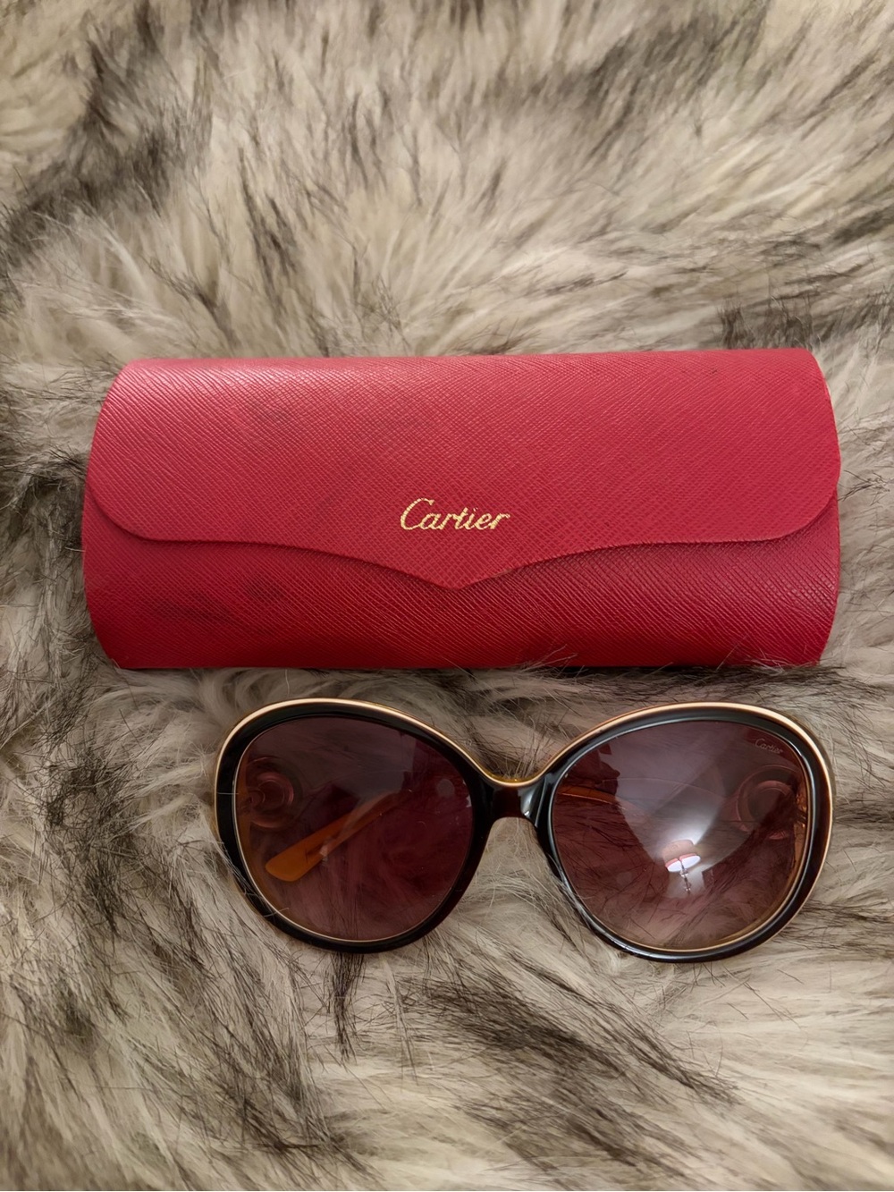 Cartier Women's Sunglasses in Brown with Red Cartier Case